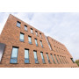 Кирпич ROBINIA WDF вид 4