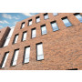 Кирпич ROBINIA WDF вид 3