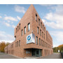 Кирпич ROBINIA WDF вид 2