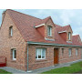 Кирпич ROBINIA WDF вид 6