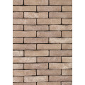 Кирпич Prata Genuanceerd Eco WF