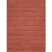 Кирпич Rojo